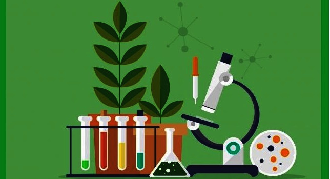 Career after 12th For Science Biology Students